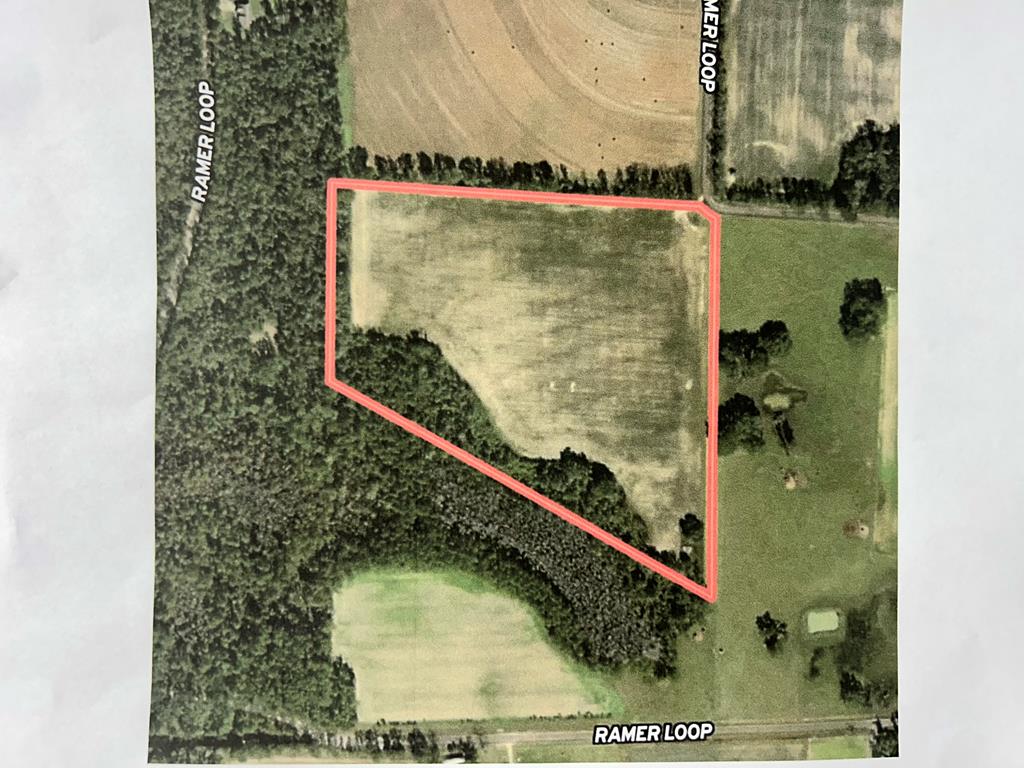31.5-ac 31.5-ac Rammer Loop Road Dothan, AL 36301 - Photo 2 of 49