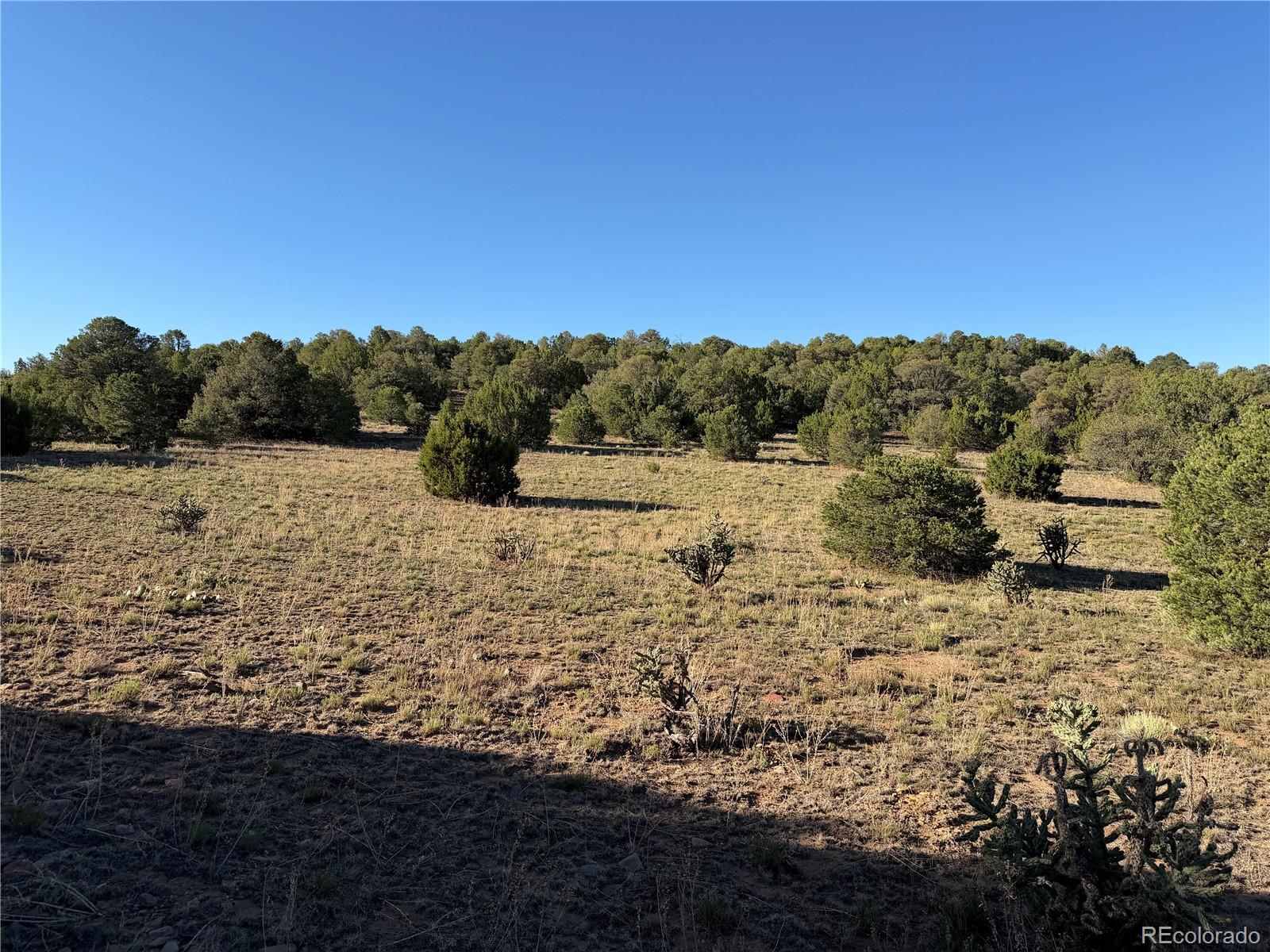 Lot 141 River Ridge Ranch Walsenburg, CO 81089 - Photo 6 of 28 Gallery Image 6