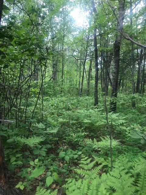 Tbd Tbd Tbd Backus, MN 56435 - Photo 1 of 1 Gallery Image 1