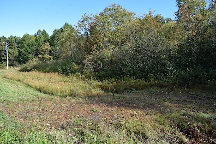 0 Co Rt 17 Lacona, NY 13083 - Photo 1 of 1 Gallery Image 1