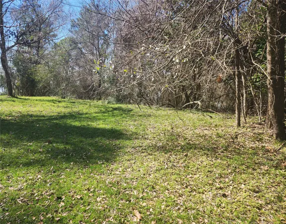 $59,990 | 0 Linda Chain Road, Livingston, TX 77351