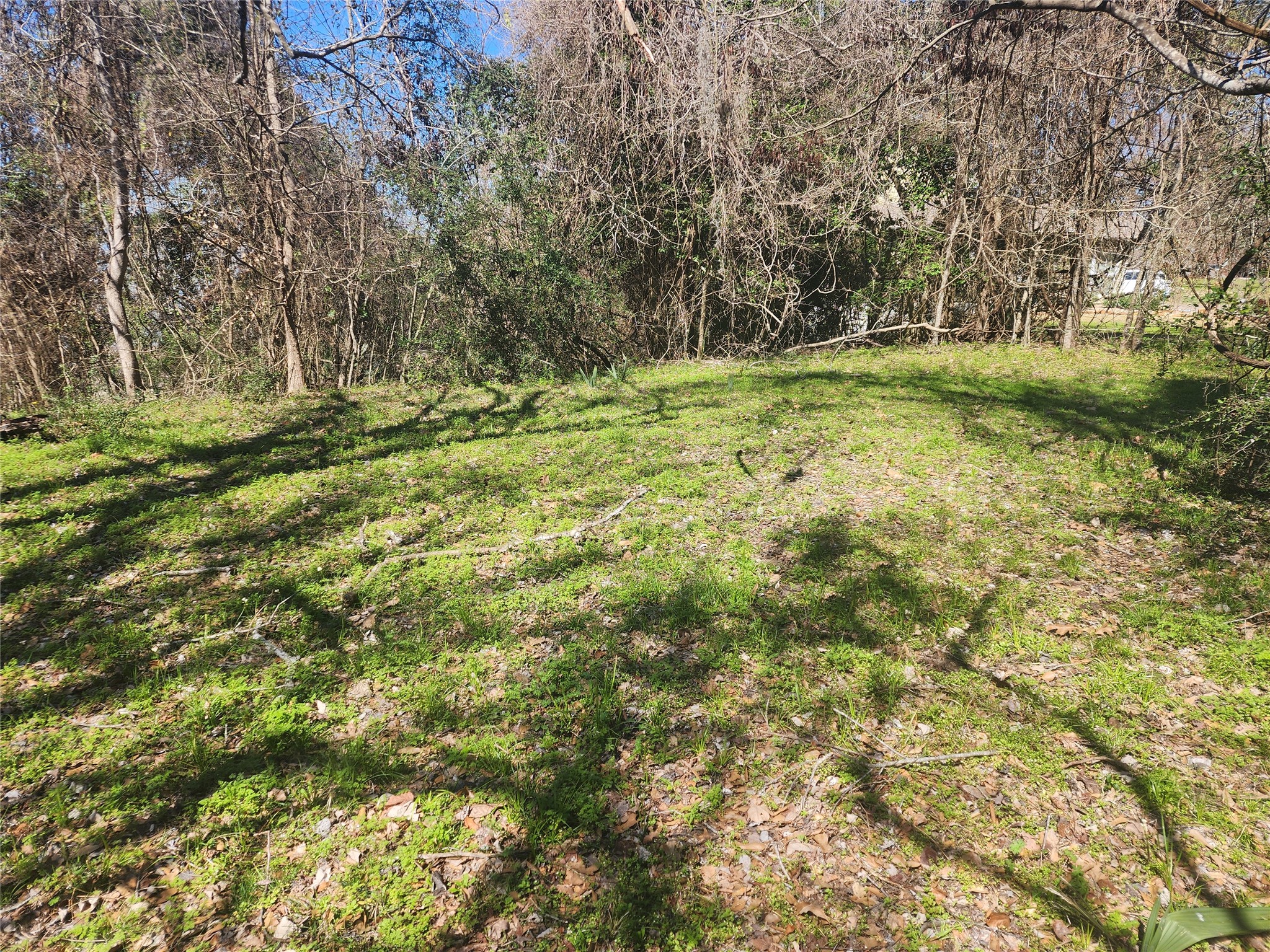 0 Linda Chain Road Livingston, TX 77351 - Photo 2 of 8 Another view of the top of the lot.