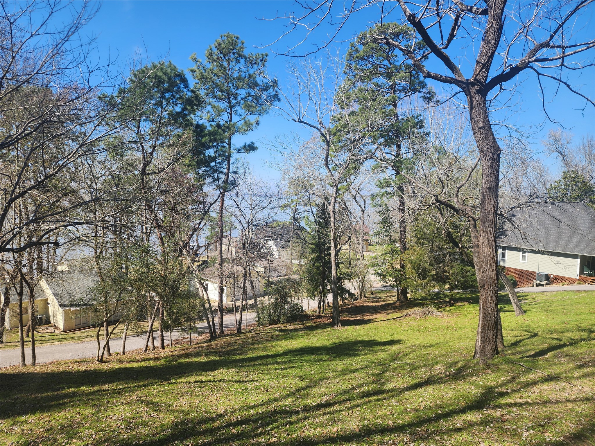0 Linda Chain Road Livingston, TX 77351 - Photo 3 of 8 This is the lower edge of the lot.