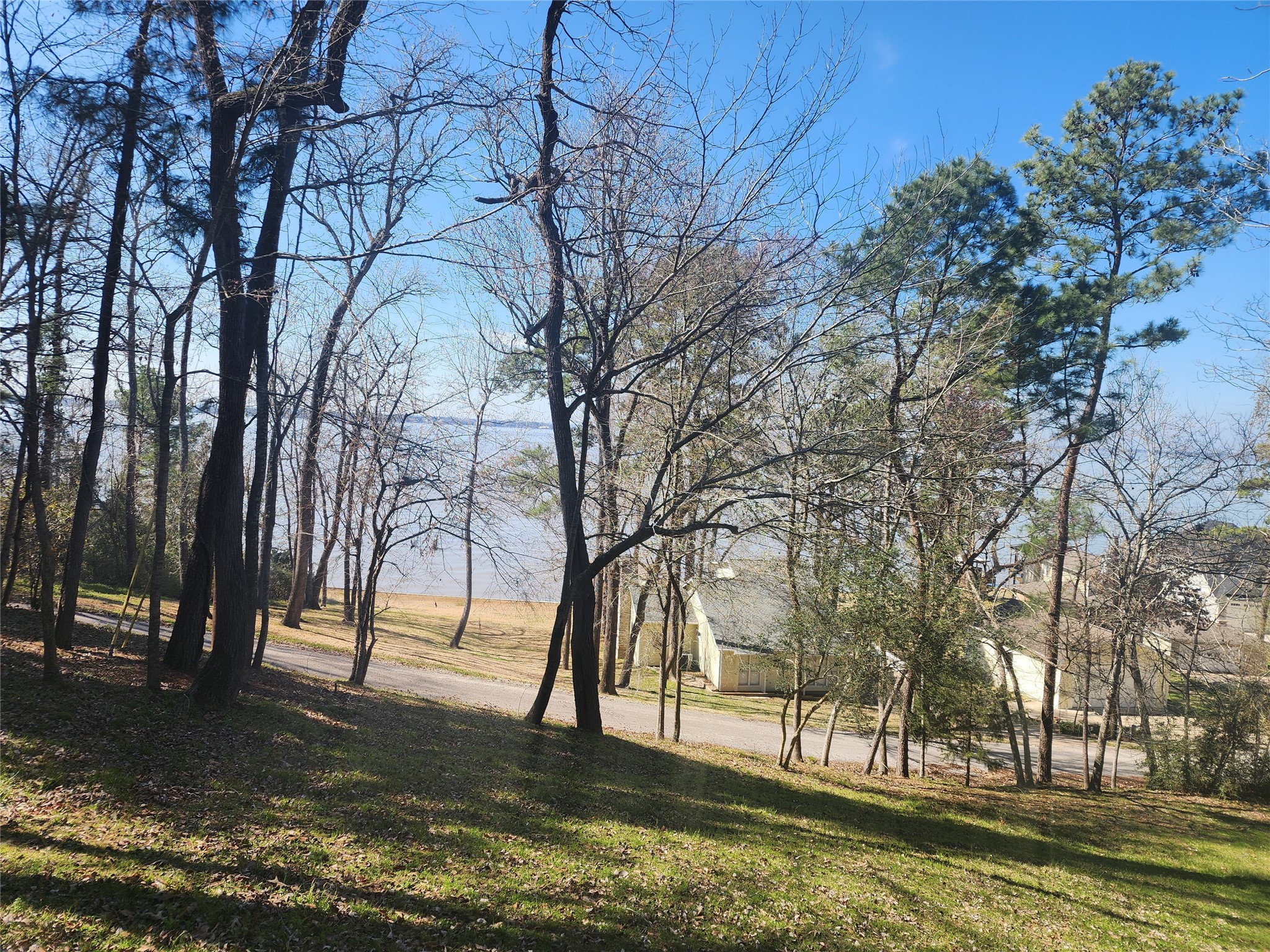 0 Linda Chain Road Livingston, TX 77351 - Photo 4 of 8 A view of the lake from the lower edge of the lot.