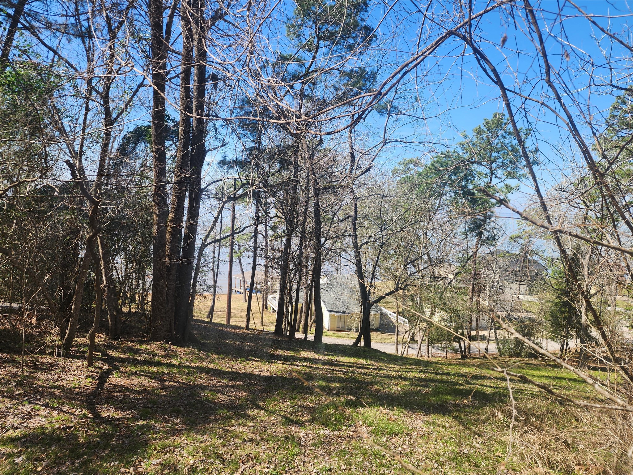 0 Linda Chain Road Livingston, TX 77351 - Photo 5 of 8 Midway up the lot looking toward the lake.