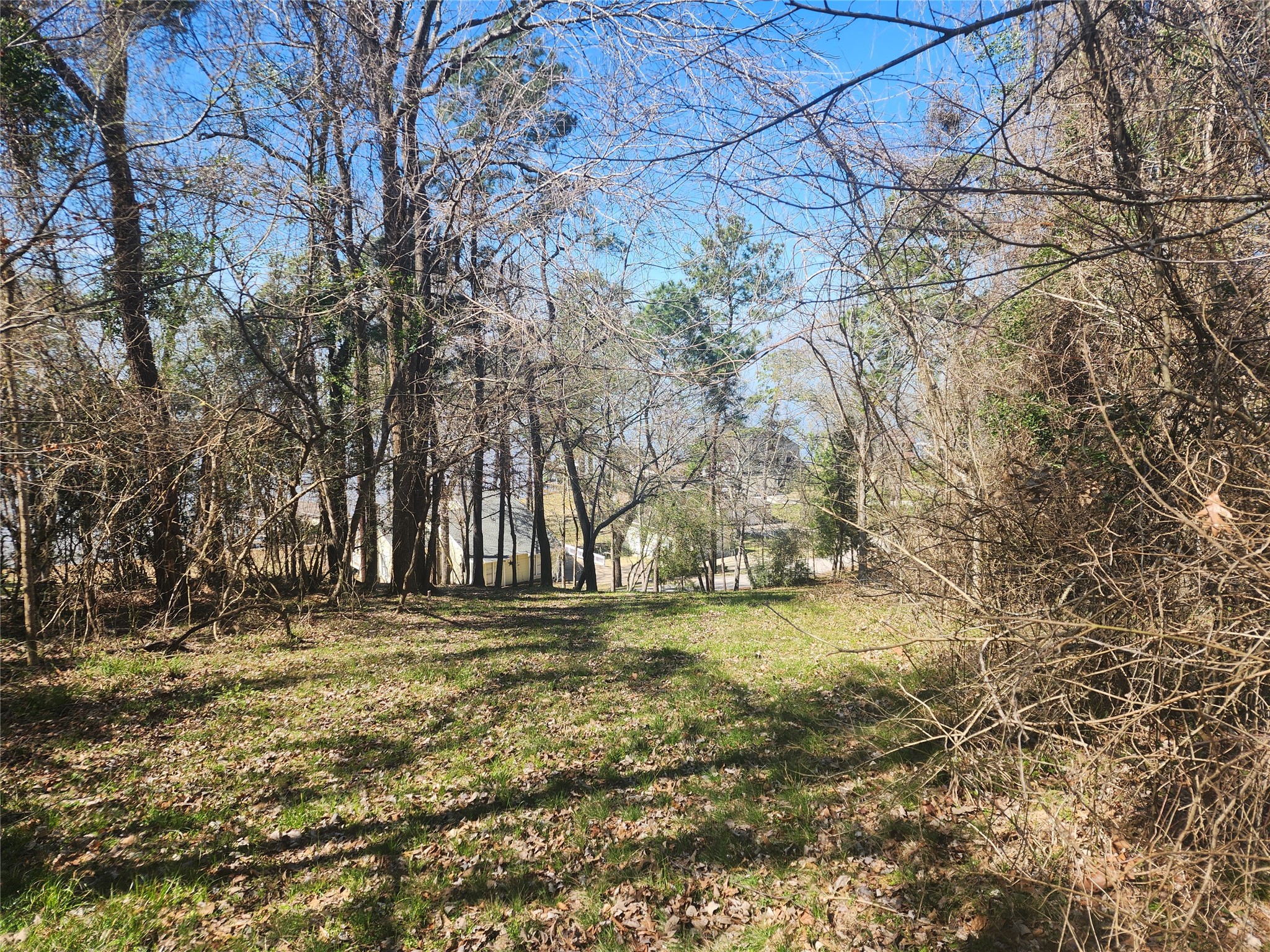0 Linda Chain Road Livingston, TX 77351 - Photo 6 of 8 The view of the lake from the midway up the lot.