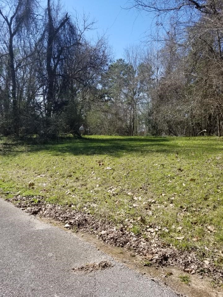 0 Linda Chain Road Livingston, TX 77351 - Photo 8 of 8 The top of the lot from the road.