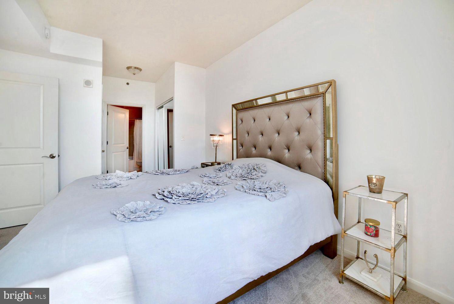 11700 Old Georgetown Road, Unit 613 North Bethesda, MD 20852 - Photo 8 of 18