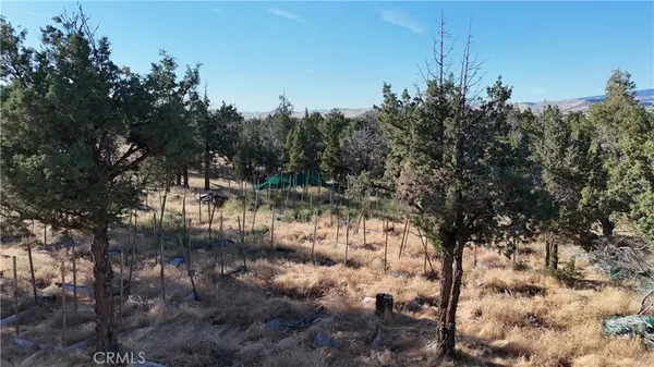a view of a yard with a tree