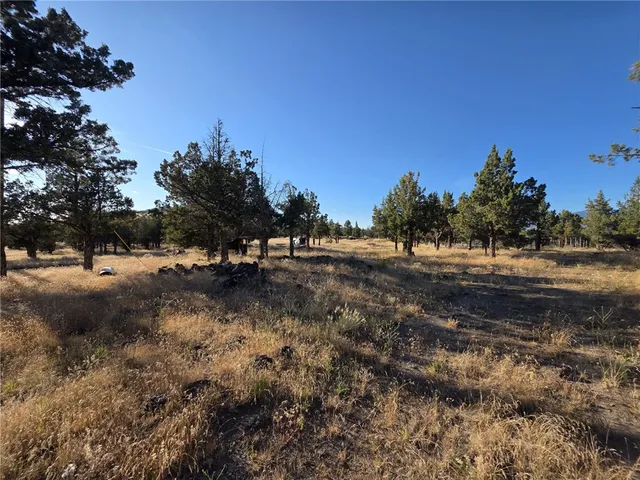 a view of outdoor space with trees