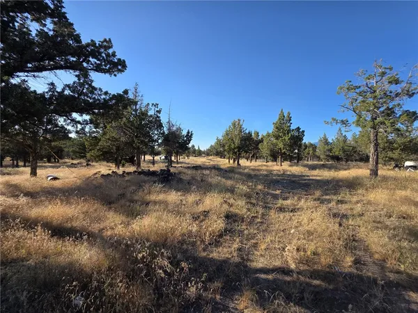 a view of outdoor space with trees
