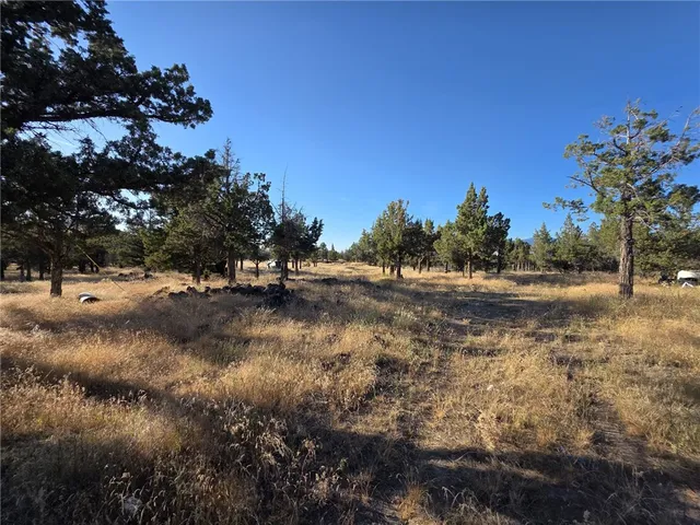 a view of outdoor space with trees