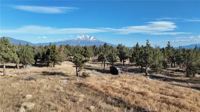a view of a yard with a mountain view