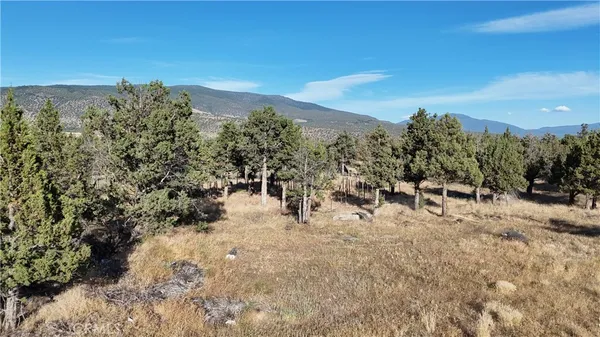 a view of a field with trees in the background