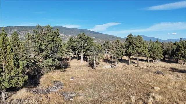a view of a field with trees in the background