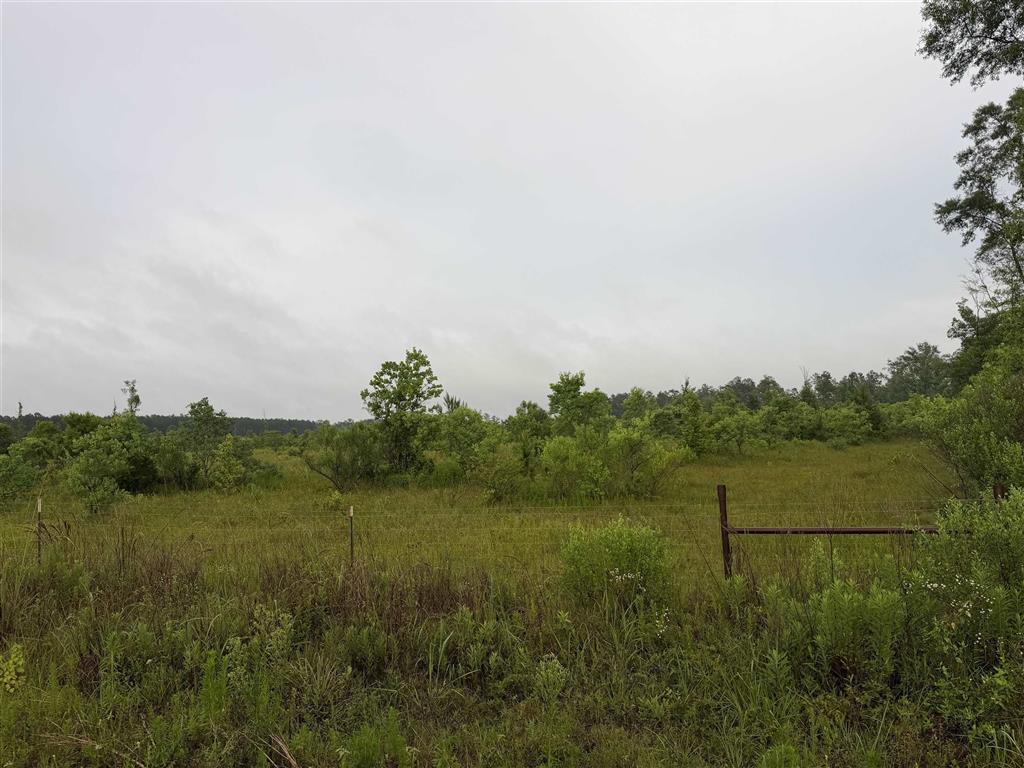 James Manning Road Deridder, LA 70634 - Photo 1 of 10