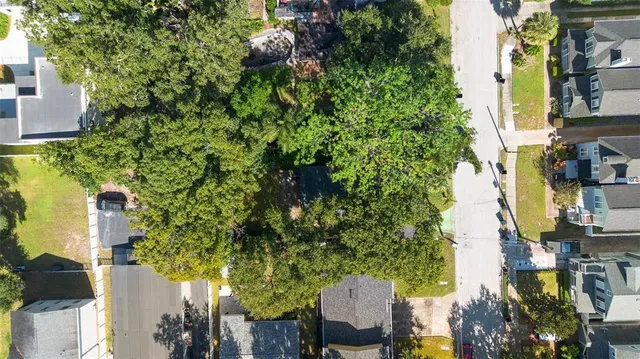 a view of a house with a small yard plants and large tree
