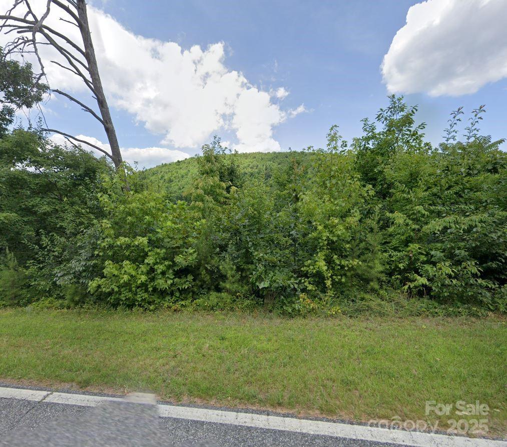 329 Leman Gap Road Casar, NC 28020 - Photo 3 of 3 a view of a green yard