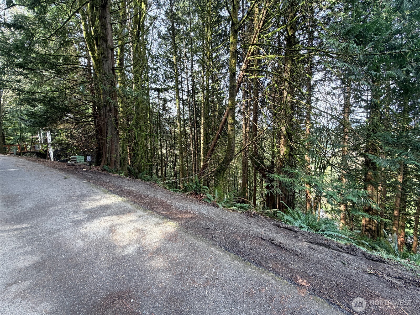 12 Valley View Circle Bellingham, WA 98229 - Photo 3 of 3 a view of a field with trees in front of it