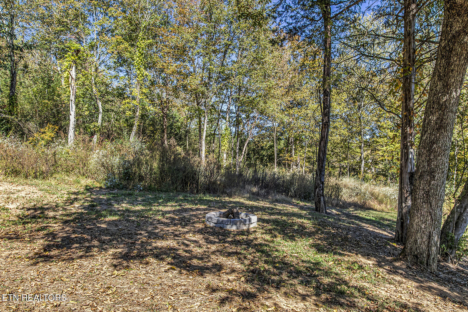 722 Posey Road Etowah, TN 37331 - Photo 8 of 52 42_PoseyRoad_722_Firepit