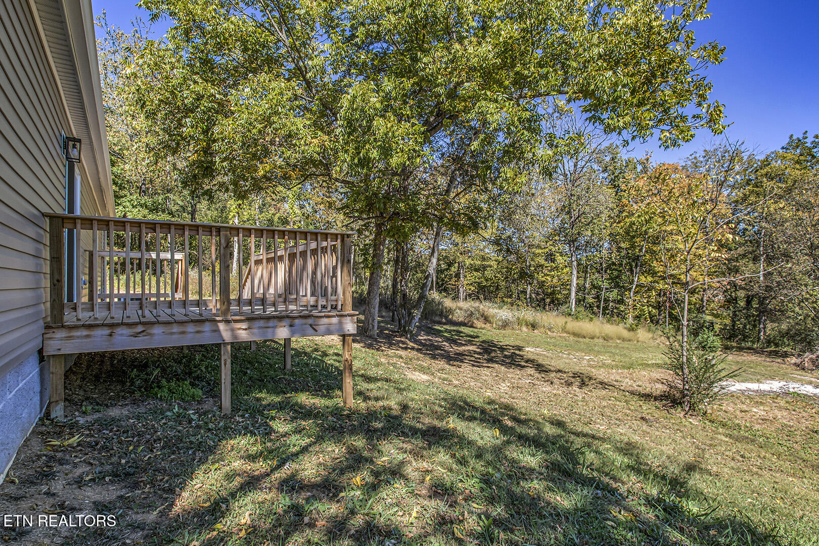 722 Posey Road Etowah, TN 37331 - Photo 9 of 52 43_PoseyRoad_722_Backyard02