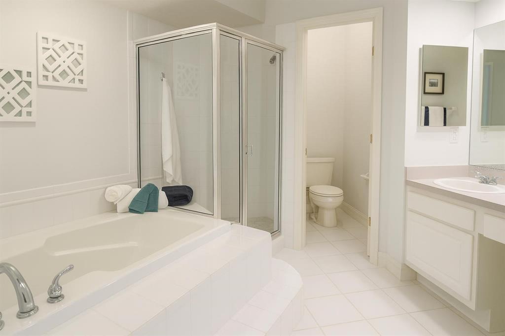 13606 Eagles Walk Drive Clearwater, FL 33762 - Photo 11 of 28 a bathroom with a granite countertop sink a toilet and a bathtub