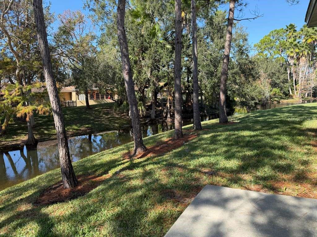 13606 Eagles Walk Drive Clearwater, FL 33762 - Photo 24 of 28 a view of backyard with green space