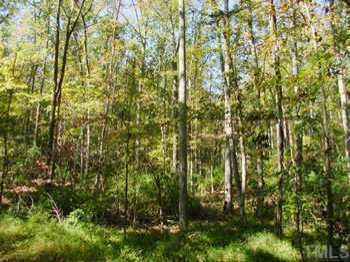 4 B Hamlets Chapel Road Pittsboro, NC 27312 - Photo 1 of 1 Photo 1