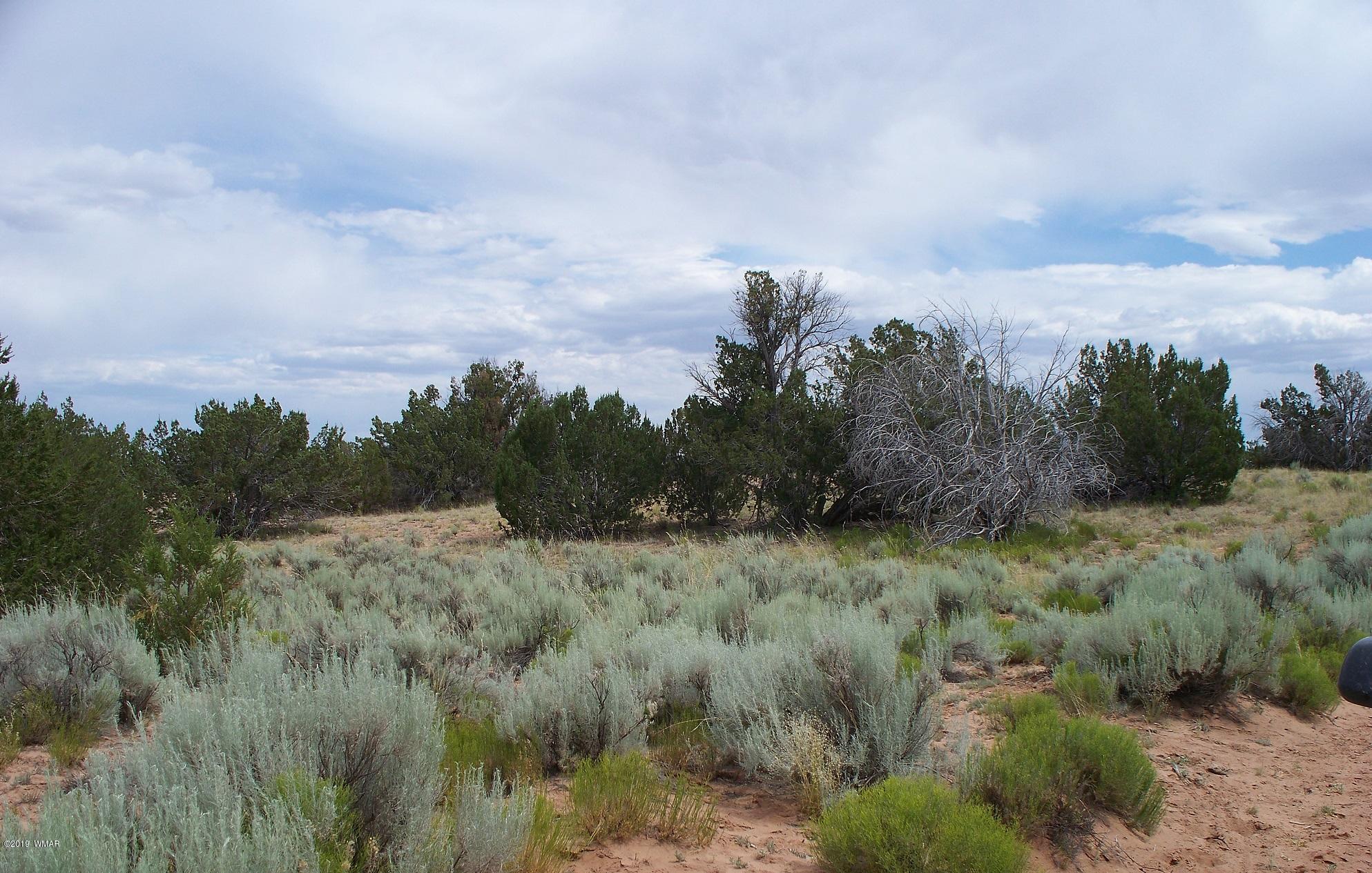 Lot 209 Red Sky Ranch St. Johns, AZ 85936 - Photo 1 of 2