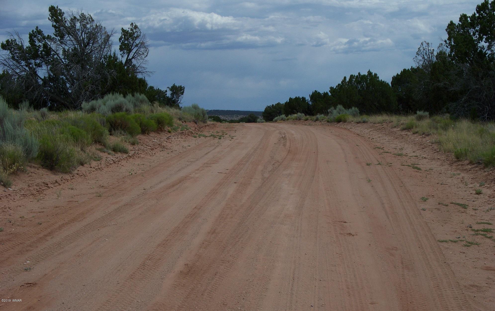 Lot 209 Red Sky Ranch St. Johns, AZ 85936 - Photo 2 of 2