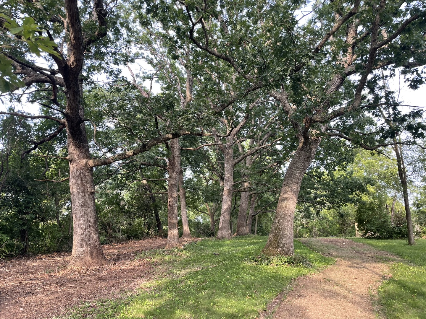 40.75-acres Route 14 Harvard, IL 60033 - Photo 11 of 11 a backyard of a house with lots of trees
