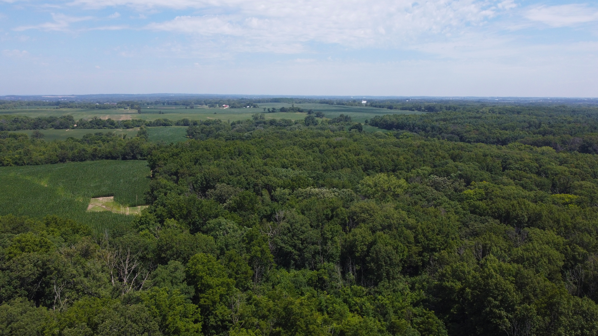 40.75-acres Route 14 Harvard, IL 60033 - Photo 3 of 11 an aerial view of a houses with outdoor space and trees