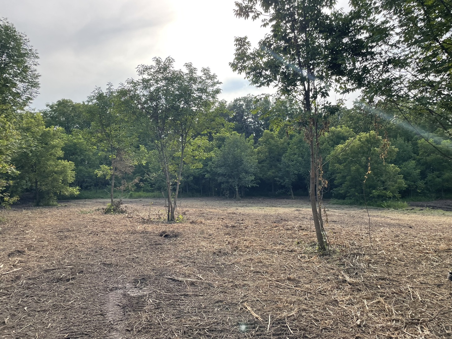 40.75-acres Route 14 Harvard, IL 60033 - Photo 6 of 11 a house view with lots of trees
