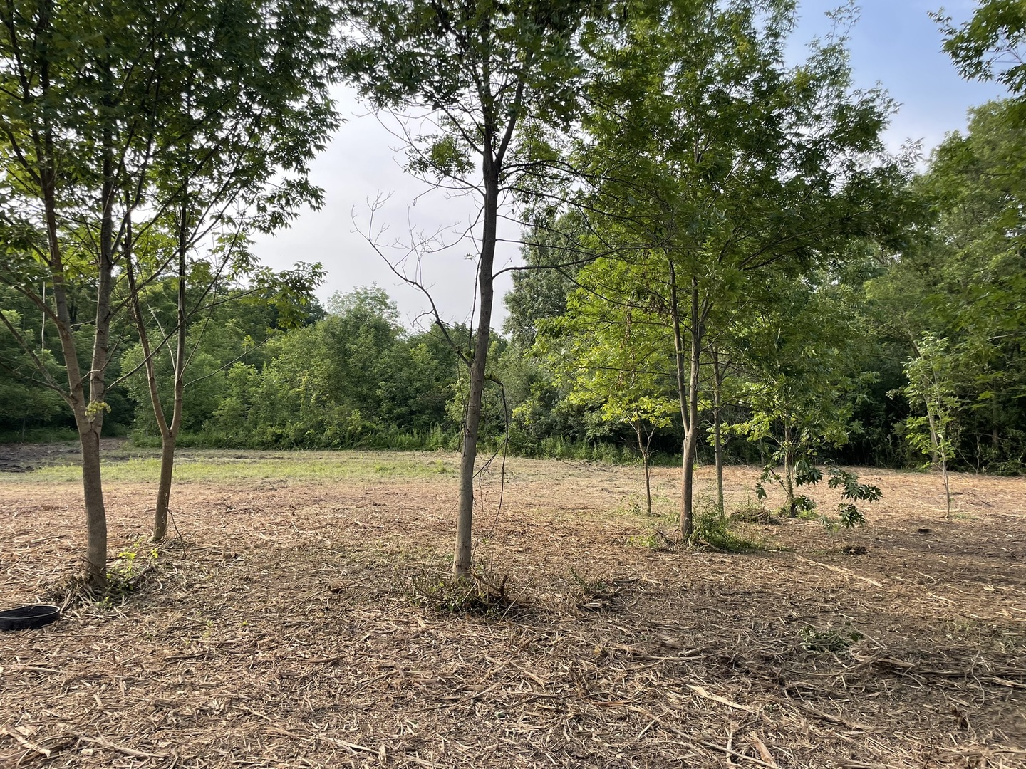 40.75-acres Route 14 Harvard, IL 60033 - Photo 7 of 11 a backyard of a house with lots of green space