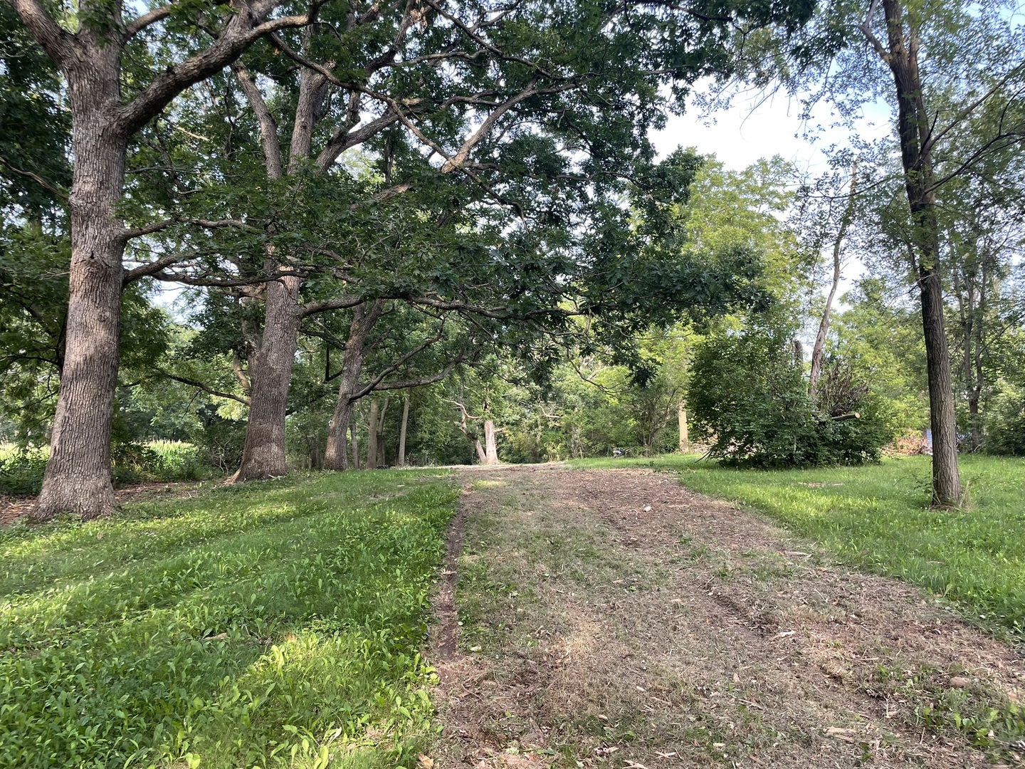 40.75-acres Route 14 Harvard, IL 60033 - Photo 10 of 11 a view of a big yard with plants and large trees