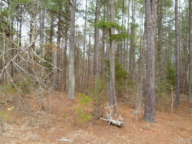 Johnson Mill Road Bahama, NC 27503 - Photo 1 of 3 Photo 1