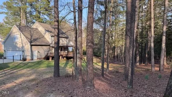 a view of a backyard that has plants and a large tree