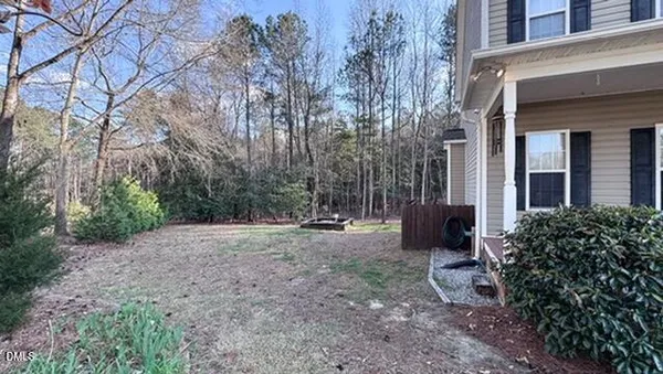 a view of a yard with plants and trees