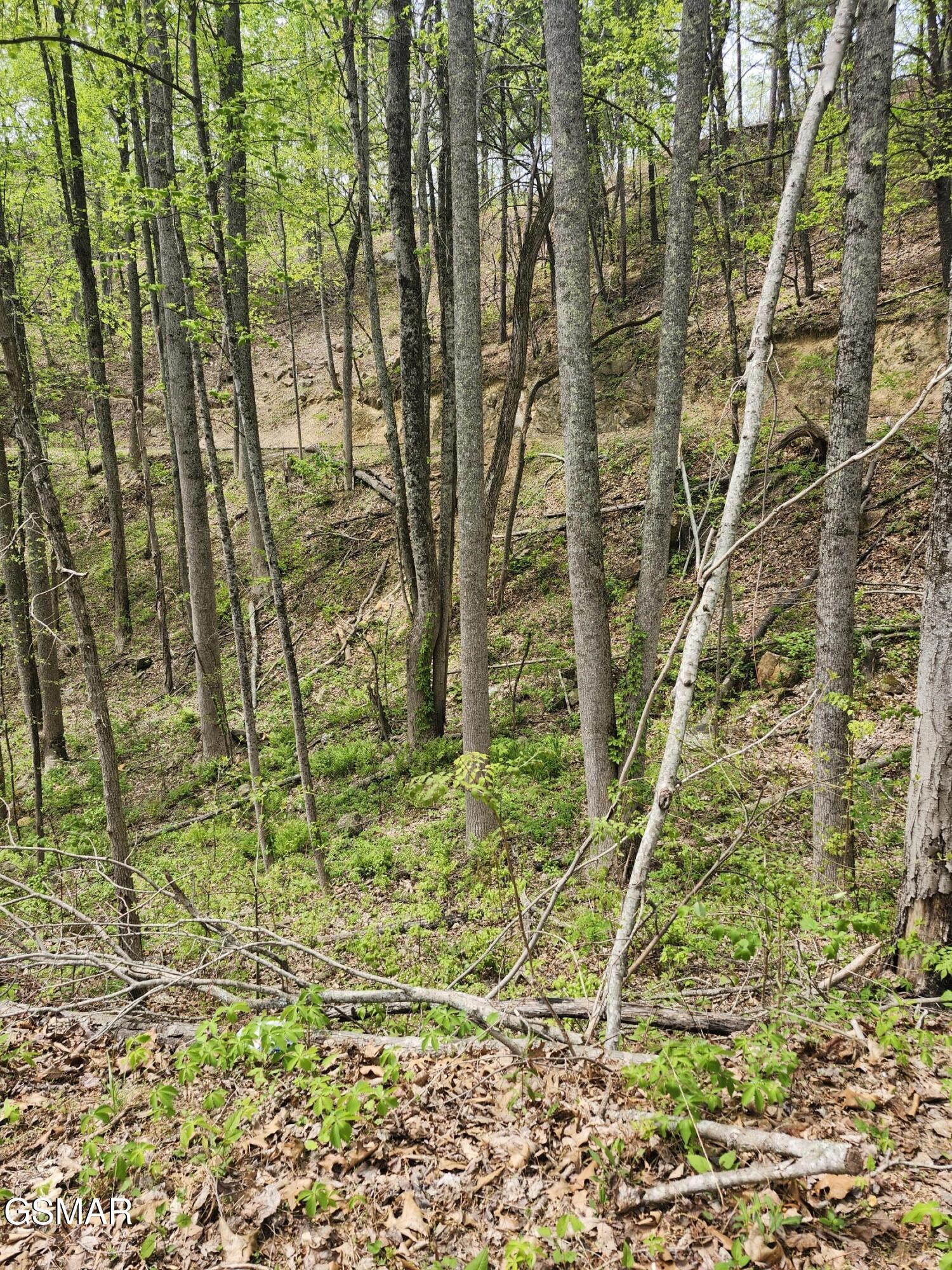 1 Hatcher Mountain Road Sevierville, TN 37862 - Photo 8 of 10