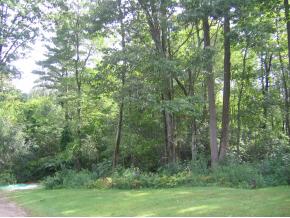38 Island Pond Road Derry, NH 03038 - Photo 3 of 10