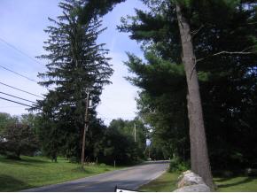 38 Island Pond Road Derry, NH 03038 - Photo 10 of 10