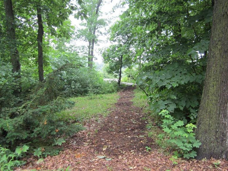 70 Judd Road Milan, MI 48160 - Photo 2 of 24 Photo 2