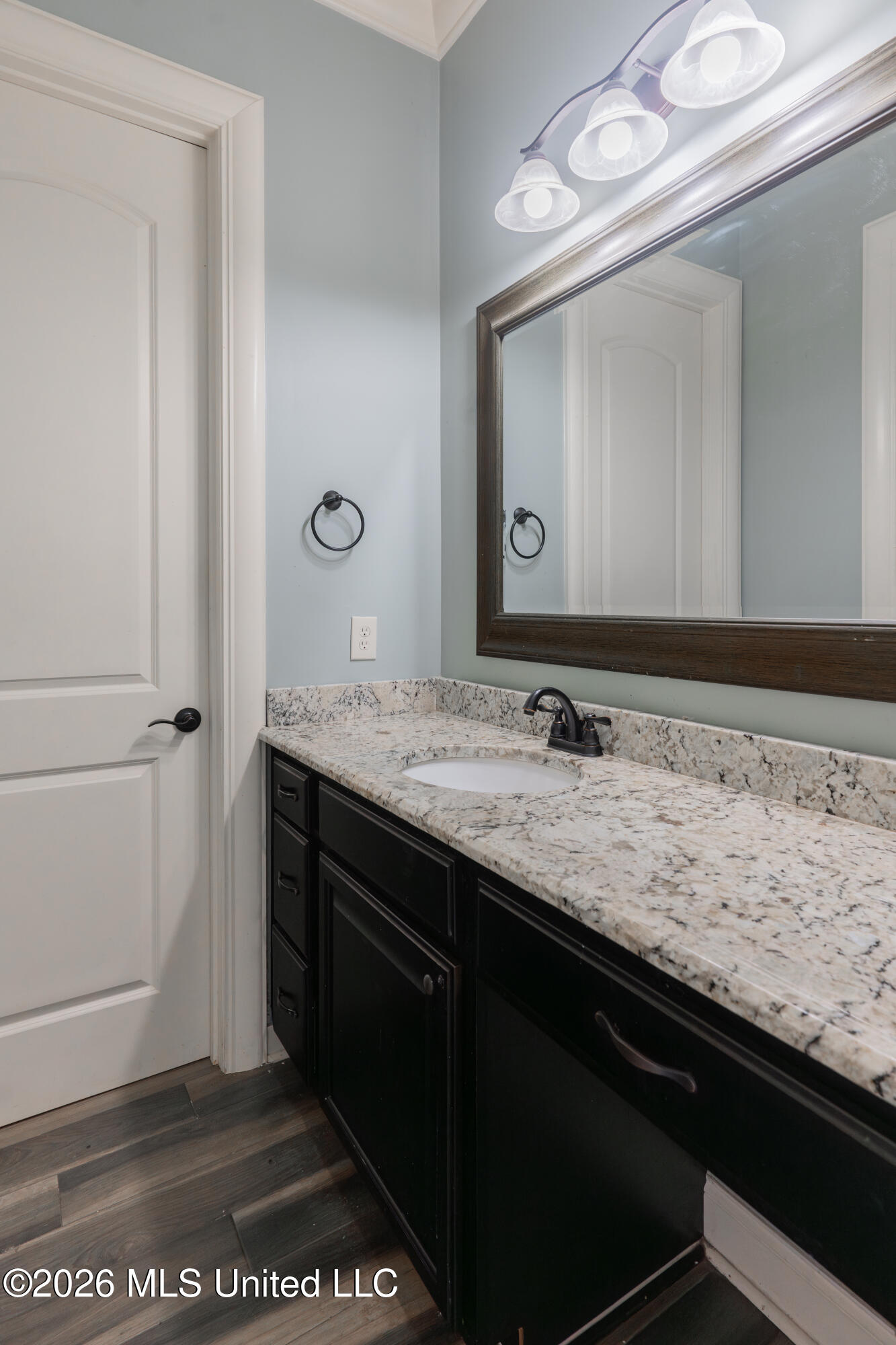 517 View Pointe Drive Clinton, MS 39056 - Photo 69 of 100 74-JackandJillBathroom