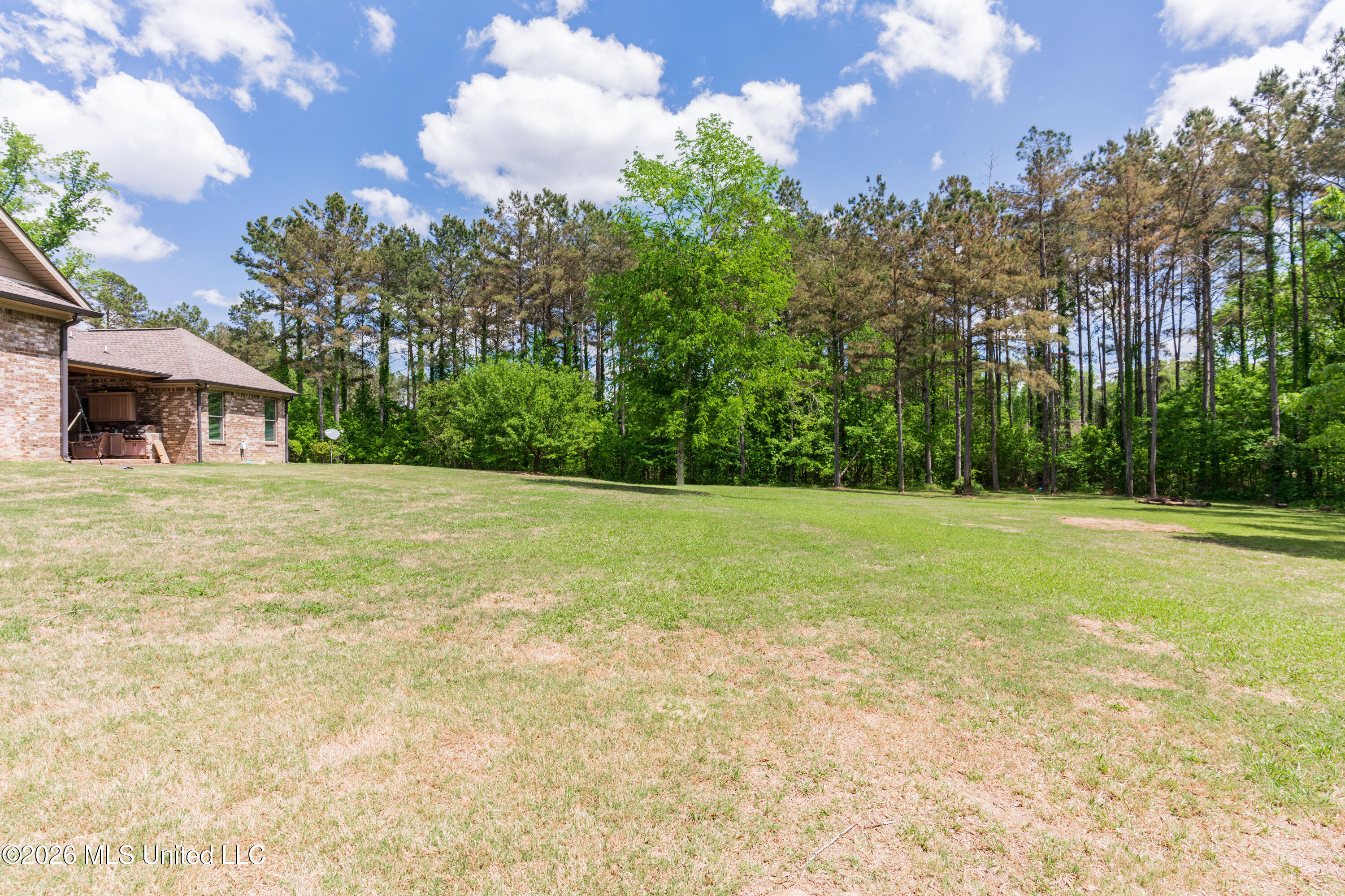 517 View Pointe Drive Clinton, MS 39056 - Photo 97 of 100 102-Back