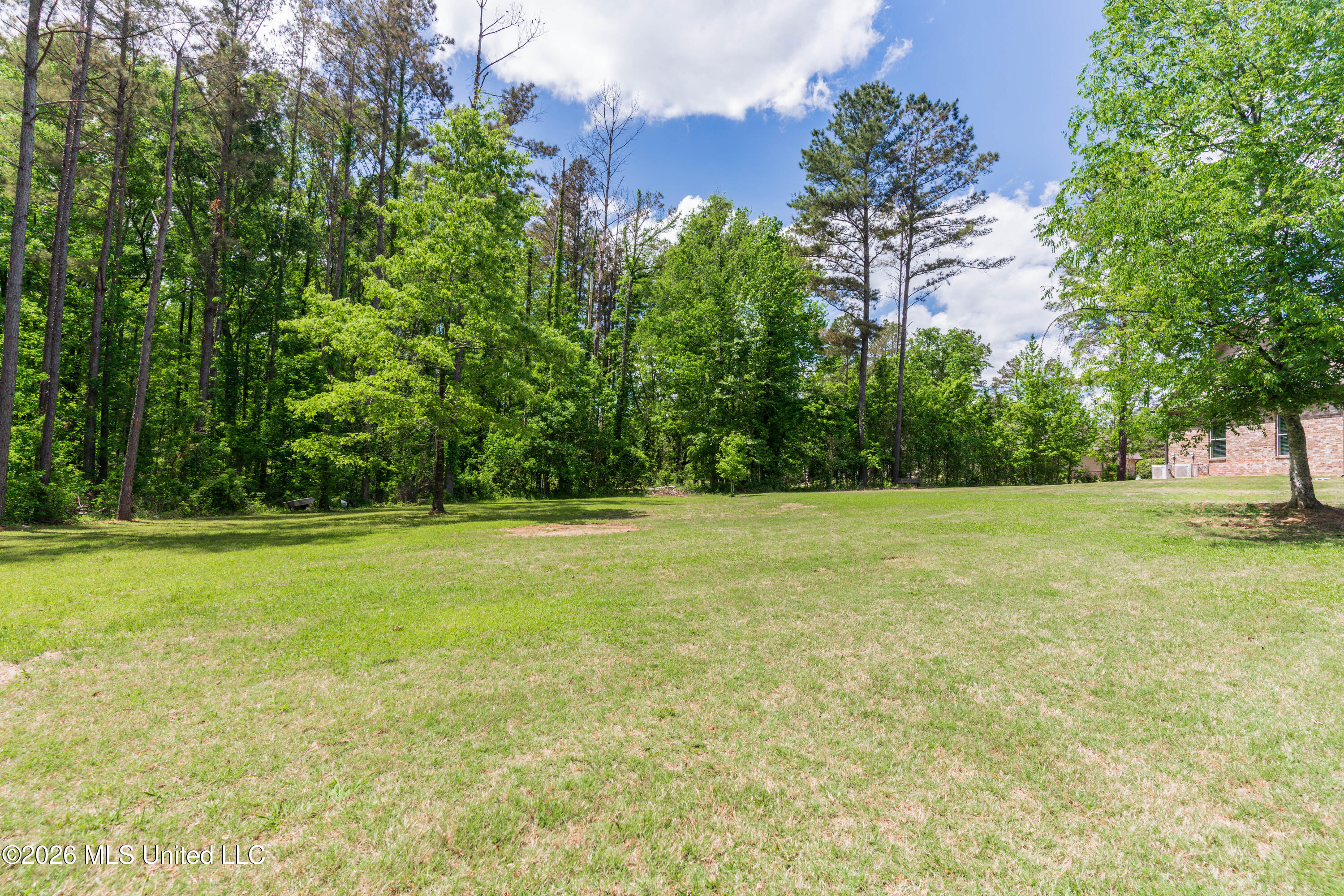 517 View Pointe Drive Clinton, MS 39056 - Photo 99 of 100 104-Back
