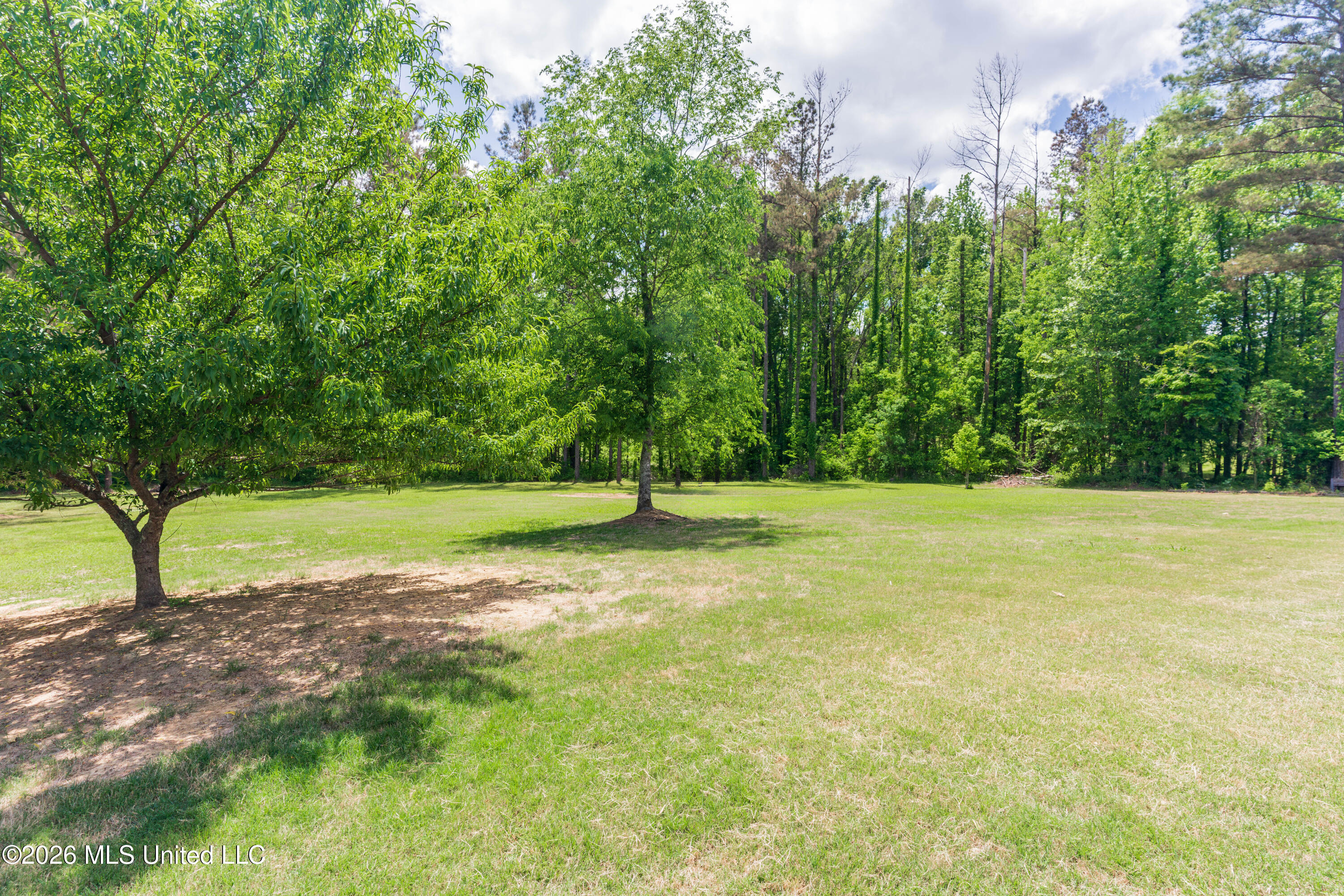 517 View Pointe Drive Clinton, MS 39056 - Photo 100 of 100 105-Back
