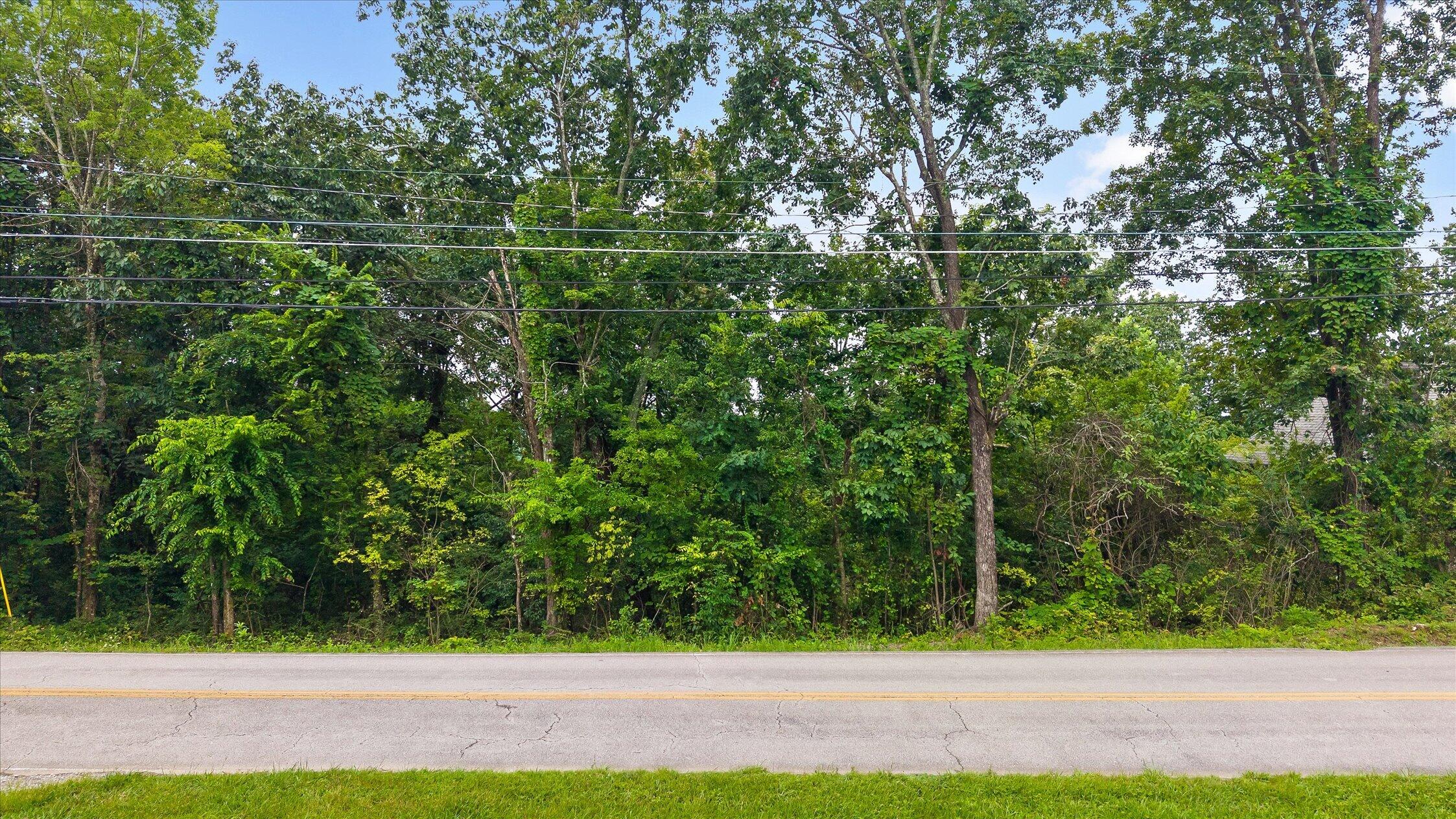 2830 Kell Road Signal Mountain, TN 37377 - Photo 2 of 16 02-Kell-2