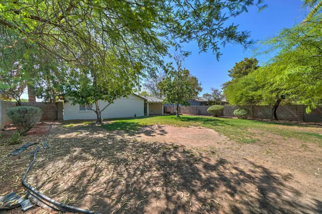 a view of a yard with plants and a trees
