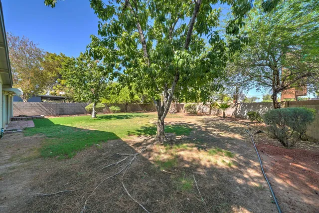 a view of backyard with green space