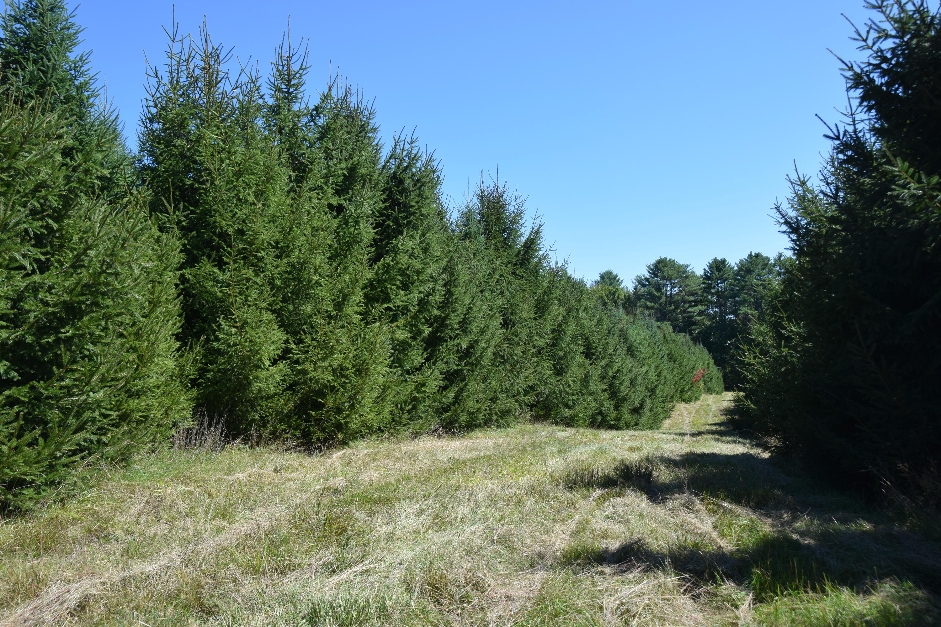M2-l10 Madison Road Norridgewock, ME 04957 - Photo 29 of 53 DSC_0065
